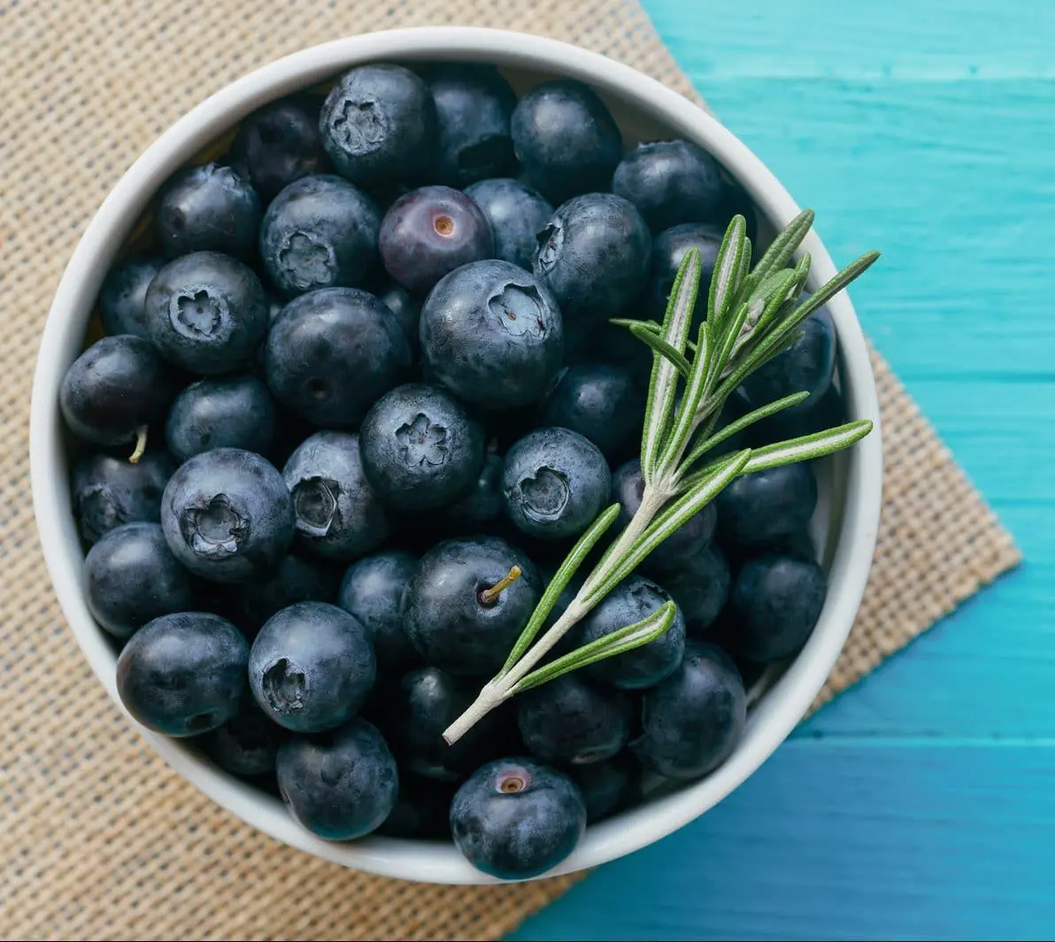 A bowl of blueberries with rosemary in it.